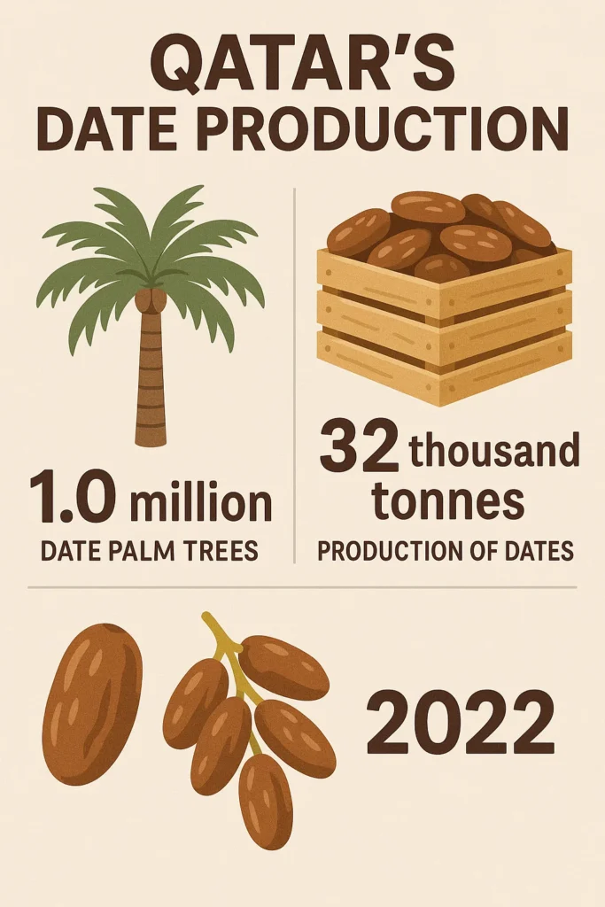 Varieties of Dates in Qatar